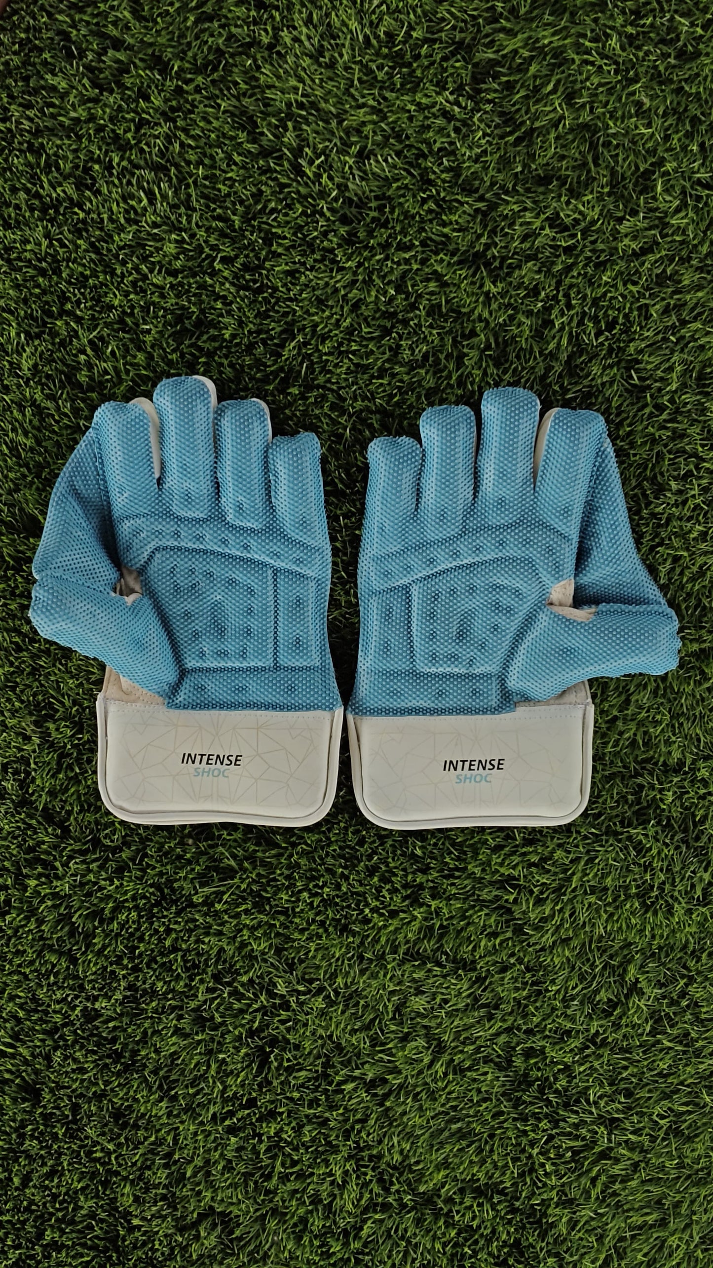 DSC Wicket Keeping Gloves INTENSE SHOC