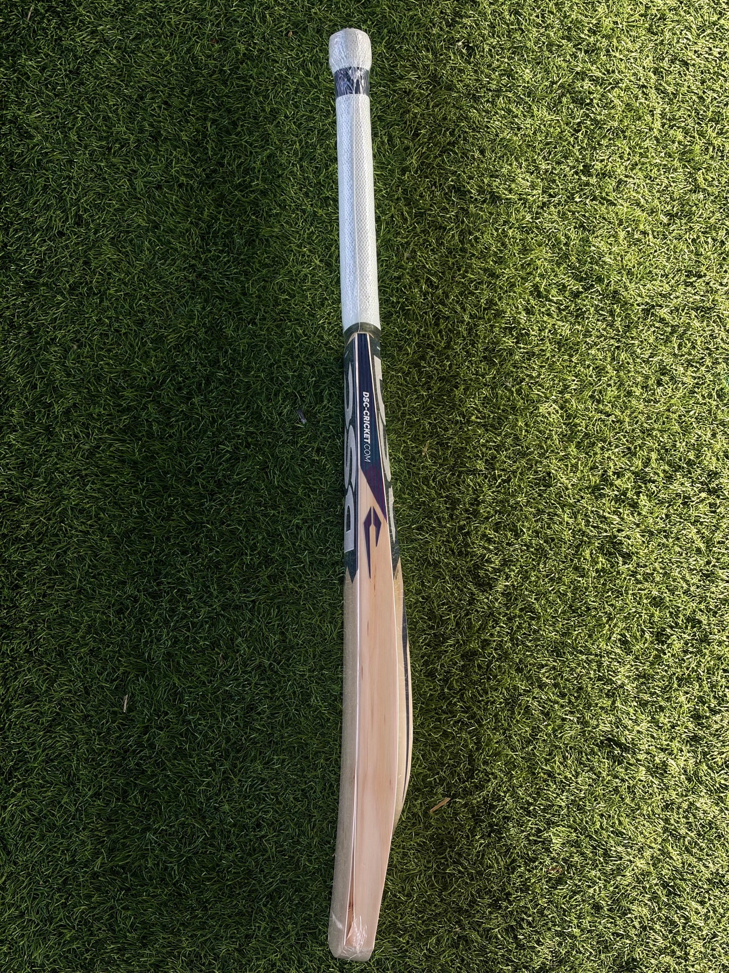 CRICKET BAT - DSC BLU 200