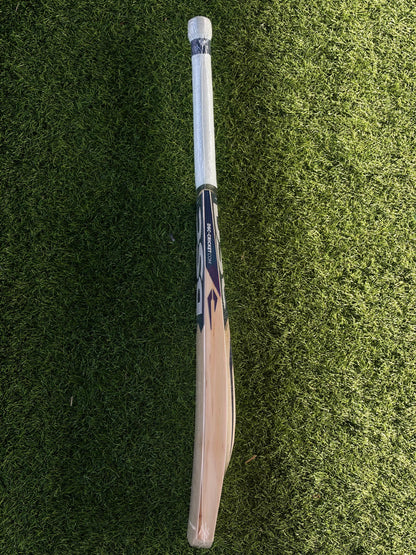 CRICKET BAT - DSC BLU 200