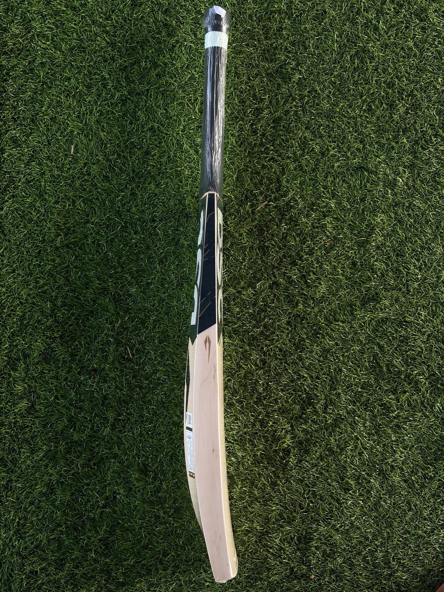 CRICKET BAT - DSC BLACK 111
