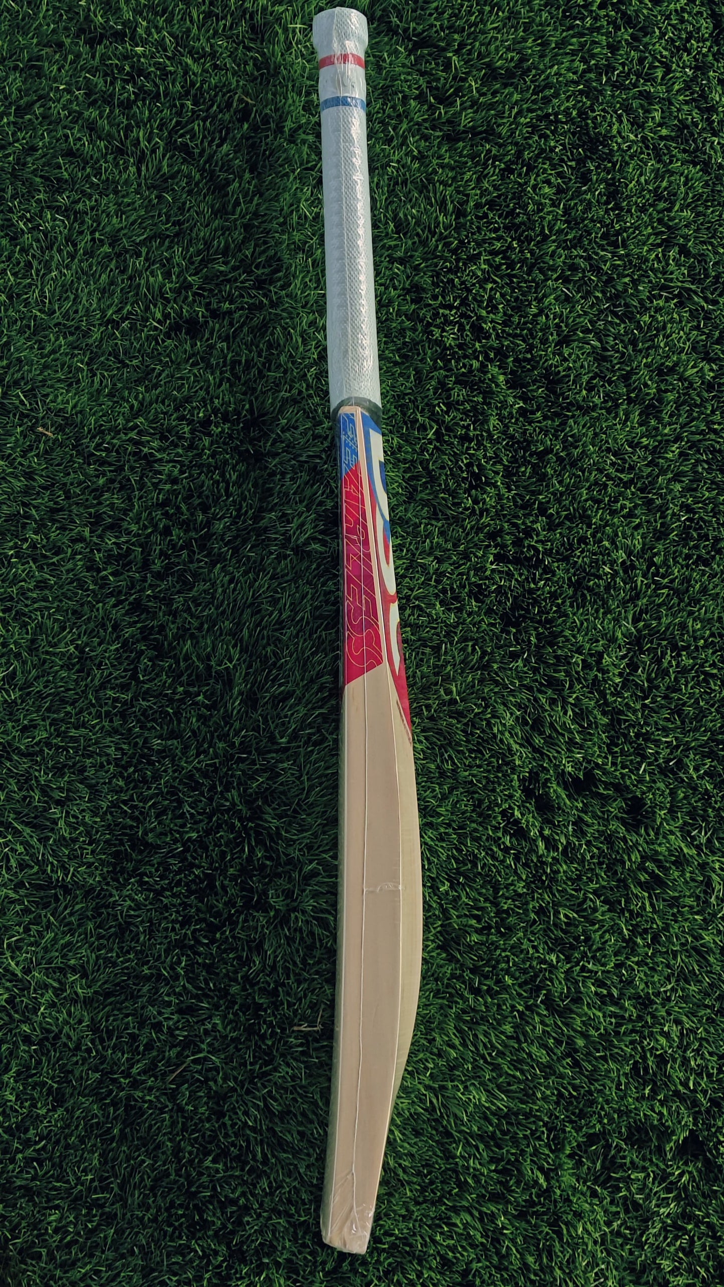 DSC Cricket Bat INTENSE ATTITUDE