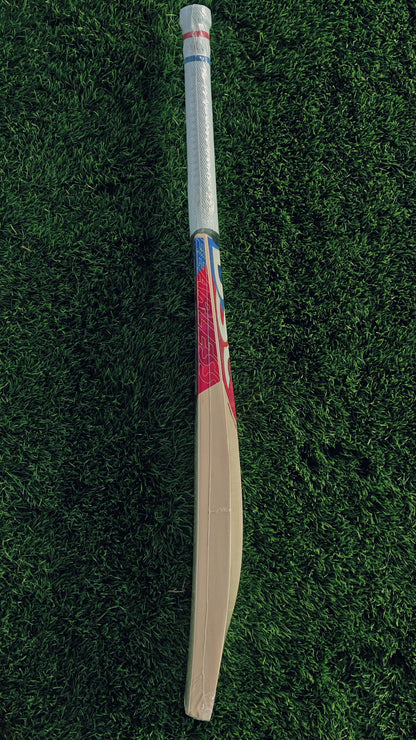 DSC Cricket Bat INTENSE ATTITUDE