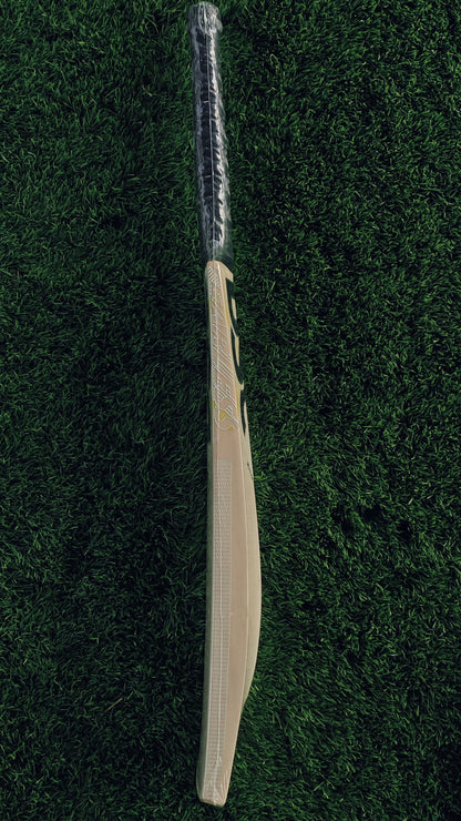 DSC Cricket Bat XLITE 4.0