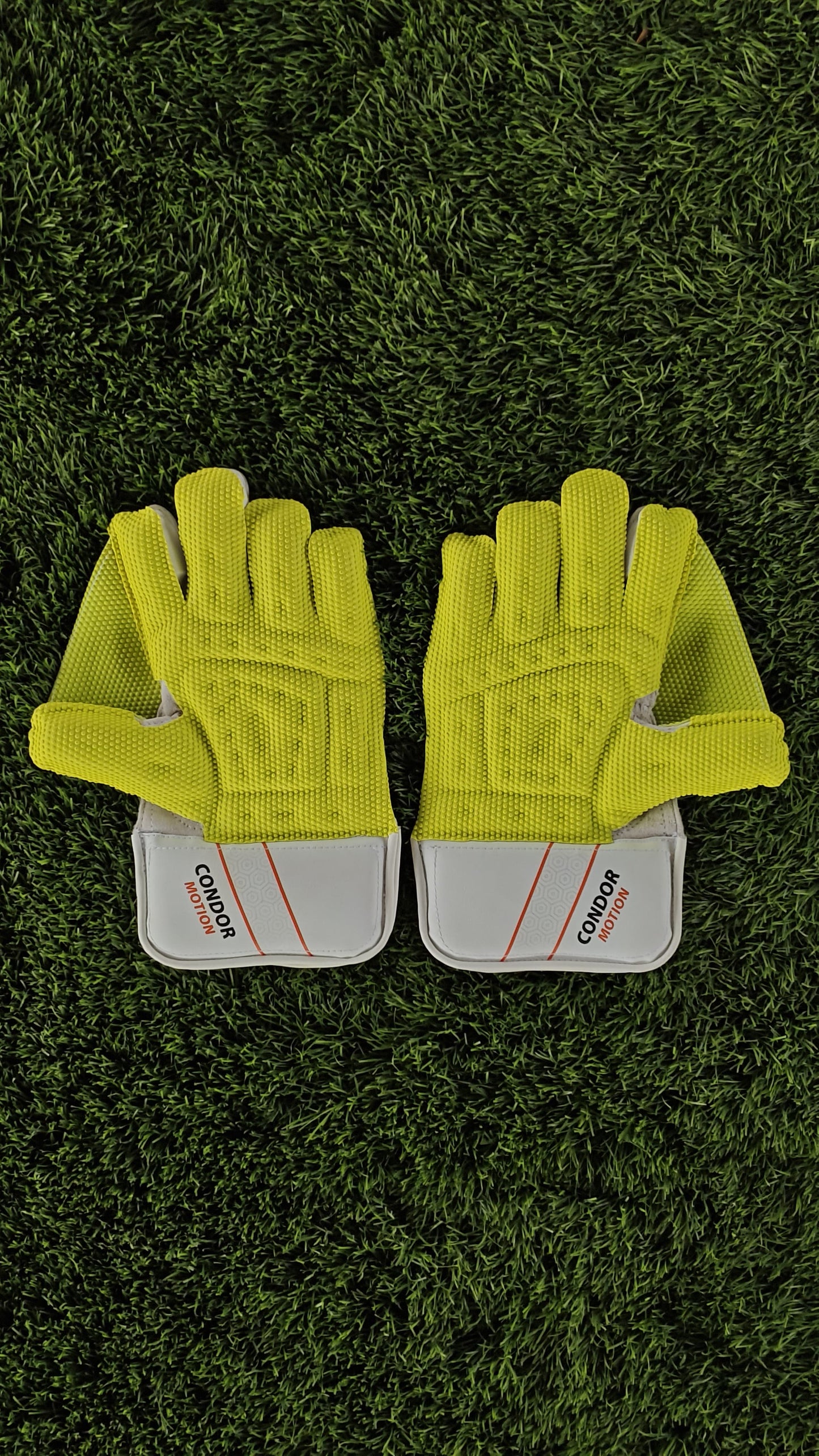 DSC Wicket Keeping Gloves CONDOR MOTION