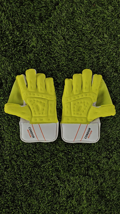 DSC Wicket Keeping Gloves CONDOR MOTION