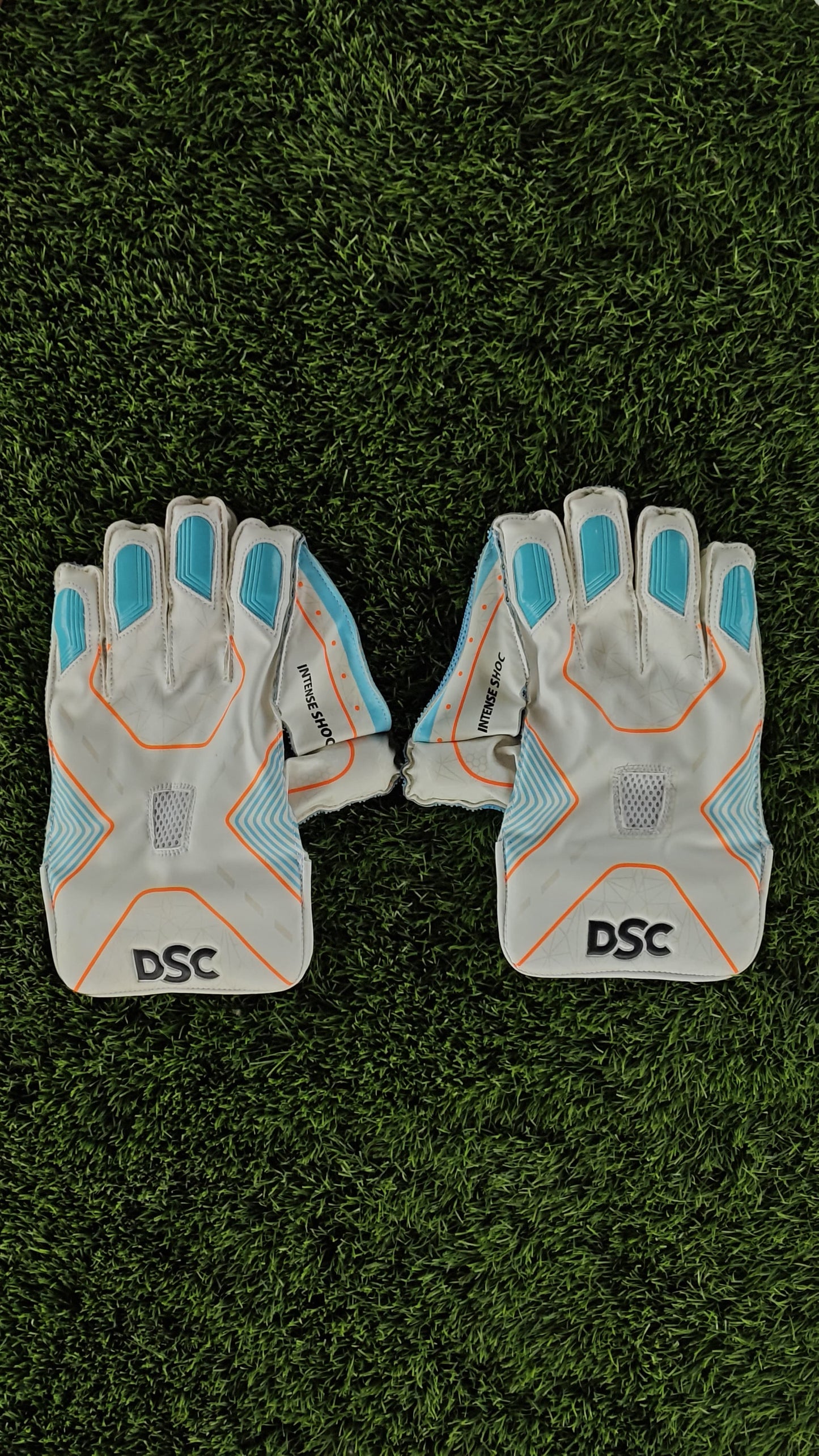 DSC Wicket Keeping Gloves INTENSE SHOC
