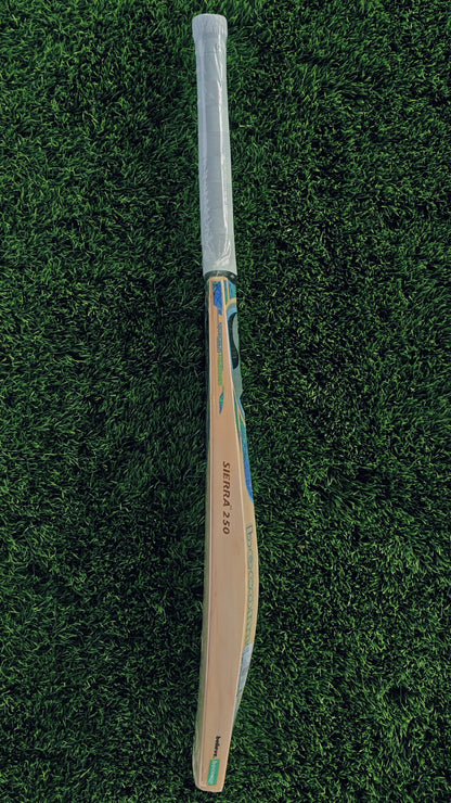 SG Cricket bat SIERRA 250