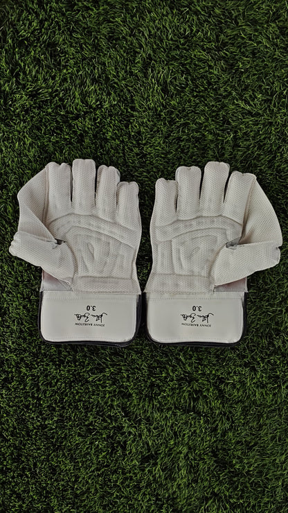 TON Wicket Keeping Gloves PRO 3.0